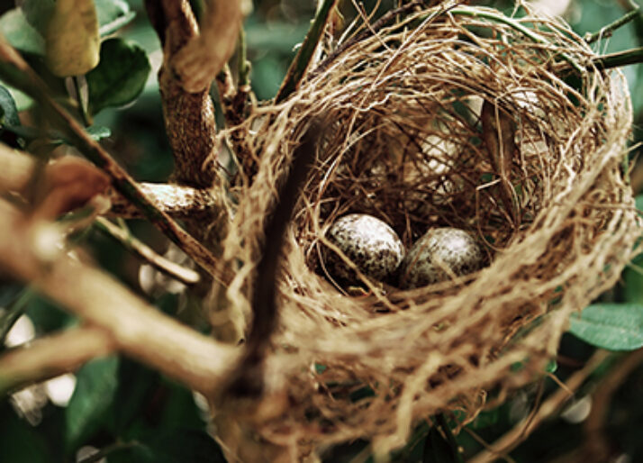 WHO is managing your nest egg?